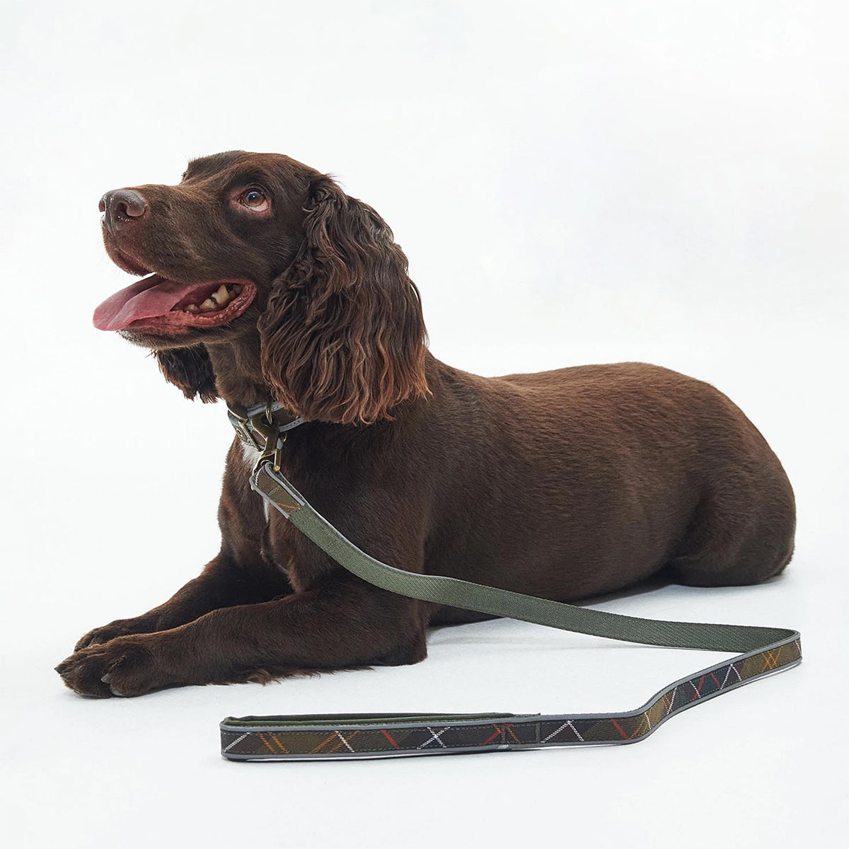 BARBOUR - CORREA PARA PERRO REFLECTIVE TARTAN