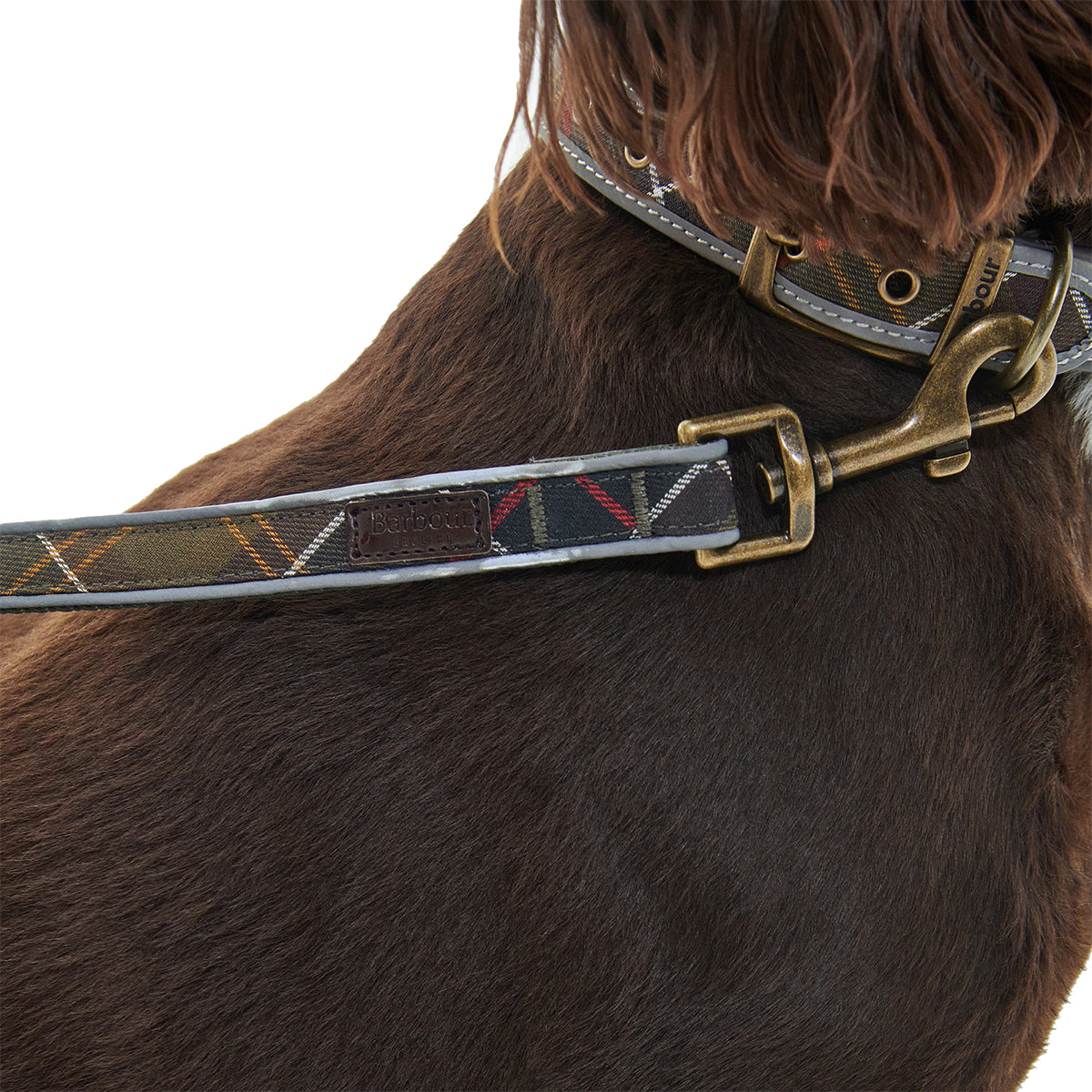 BARBOUR - CORREA PARA PERRO REFLECTIVE TARTAN