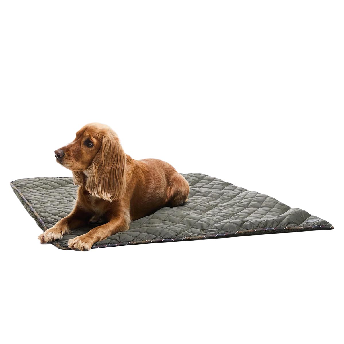 BARBOUR - MANTA PARA PERRO QUILT & FLEECE