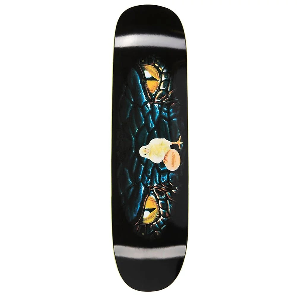 ALLTIMERS - TABLA NO BODY MOVE CRUISER 8.75