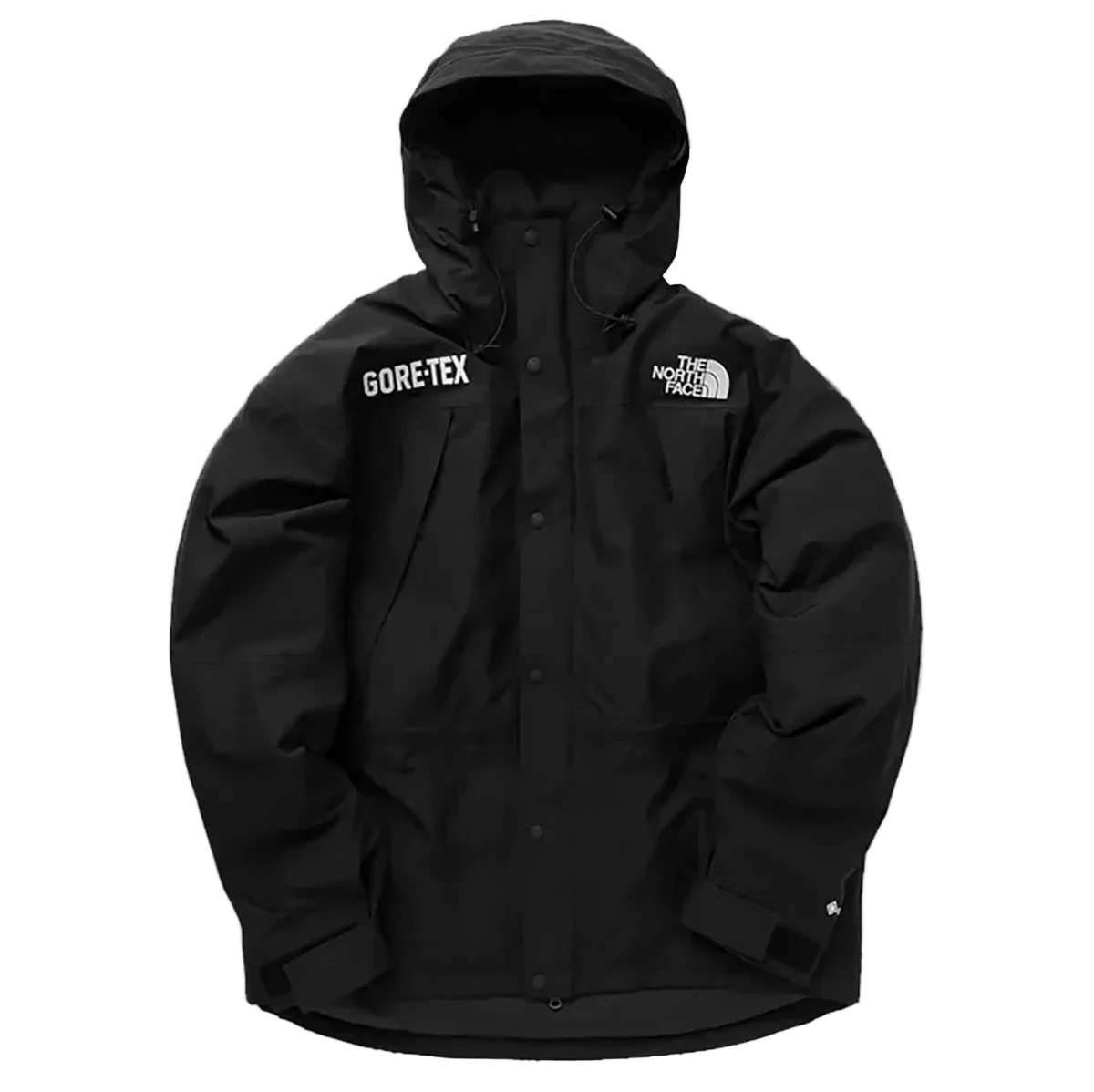 THE NORTH FACE - CHAQUETA GTX MOUNTAIN GUIDE INSUL