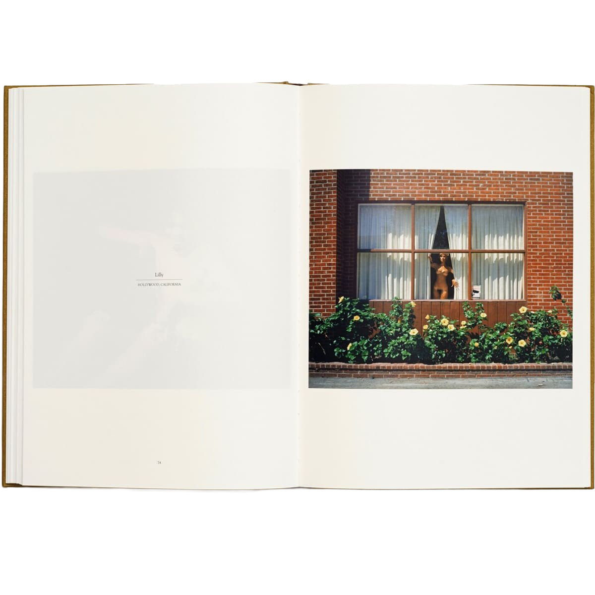 IDEA - NADIA LEE WOMAN BOOK
