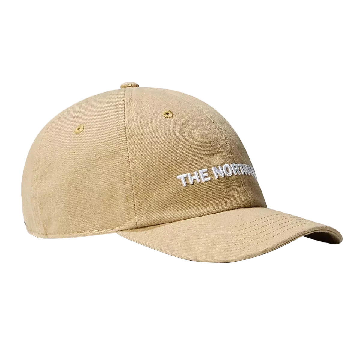 THE NORTH FACE - GORRA ROOMY NORM