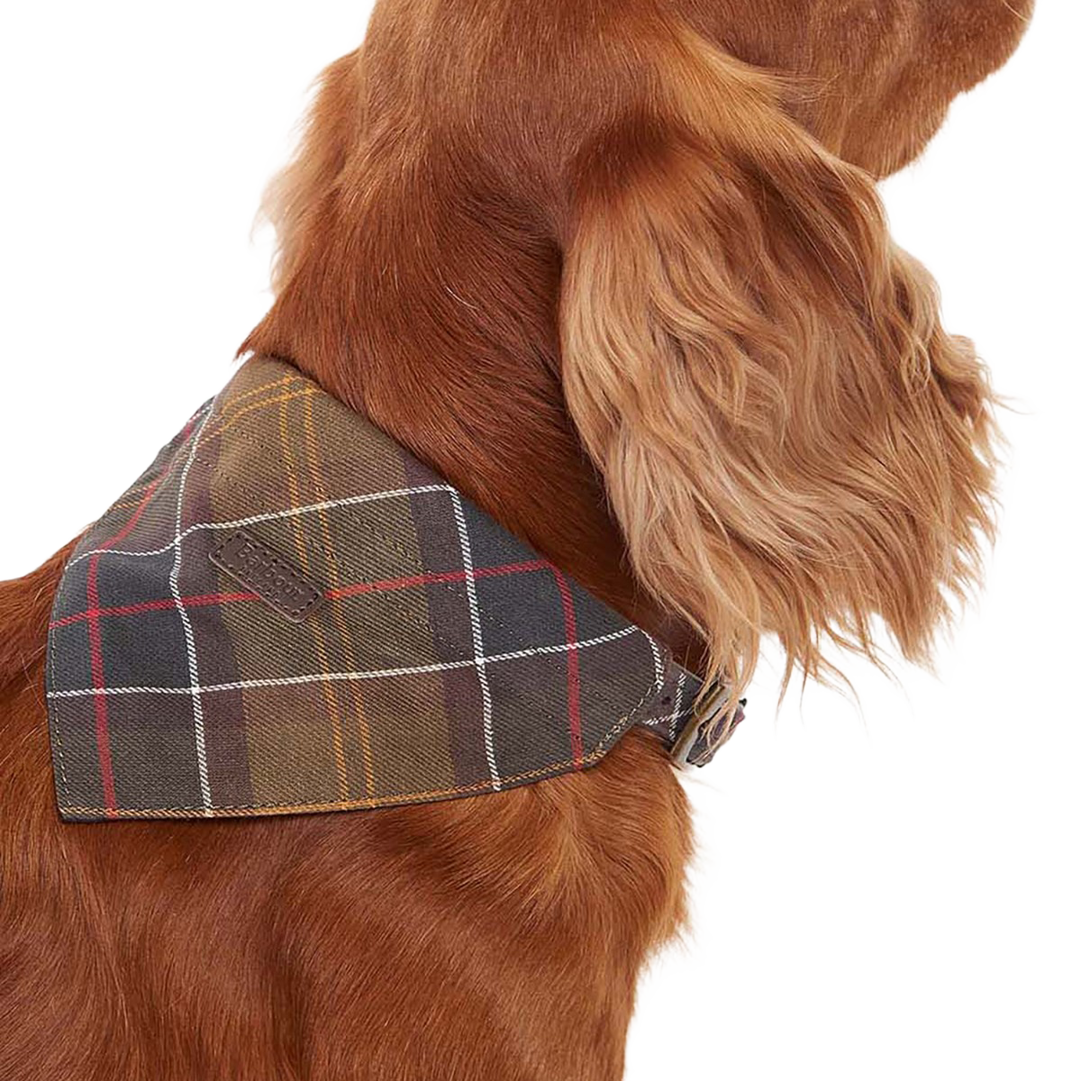 BARBOUR - TARTAN DOG BANDANA
