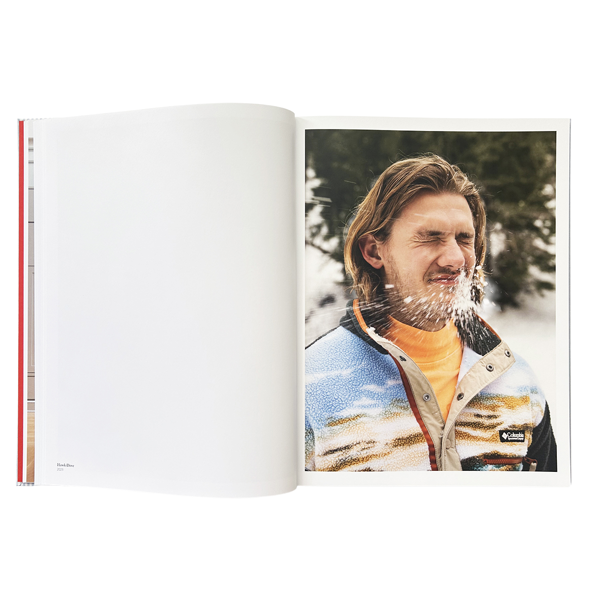 IDEA - LIBRO BUCK ELLISON RISK