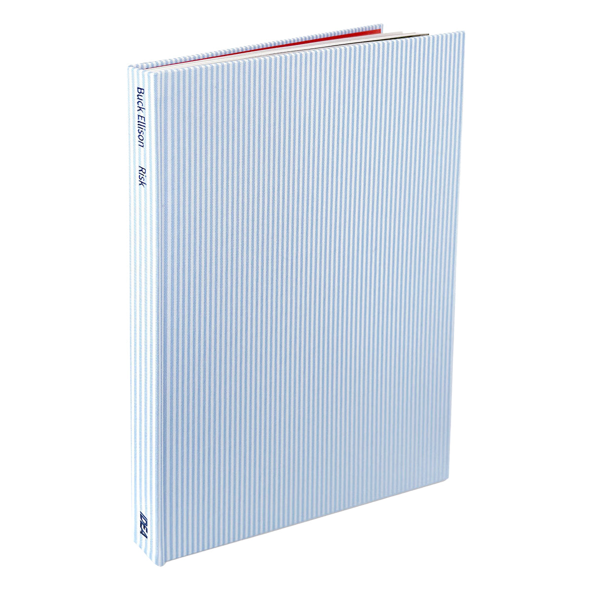 IDEA - LIBRO BUCK ELLISON RISK