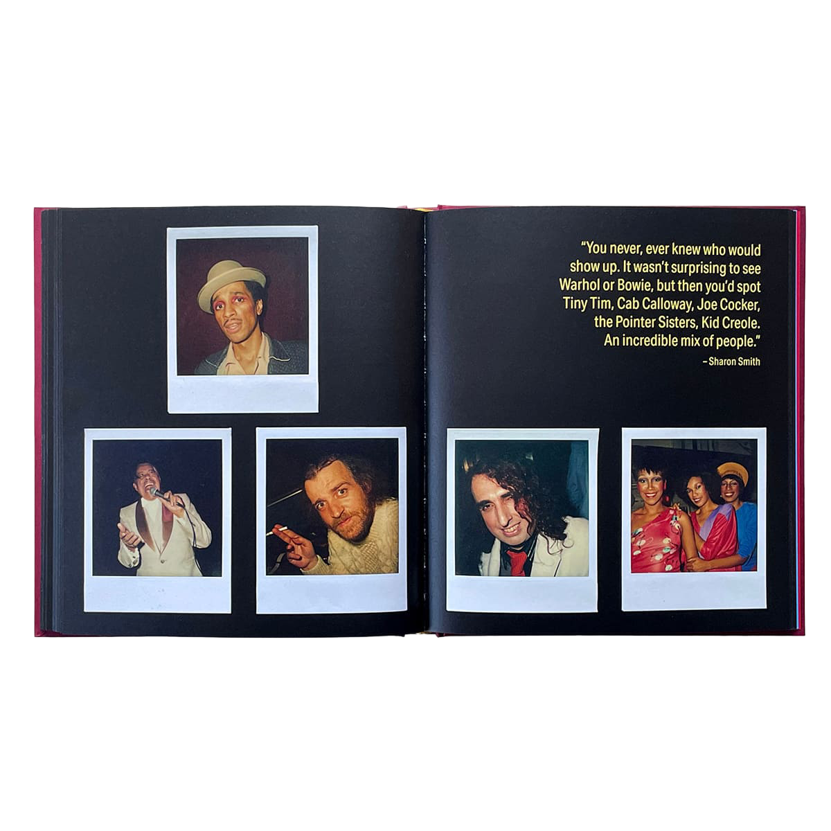 IDEA - SHARON SMITH CAMERA GIRL BOOK