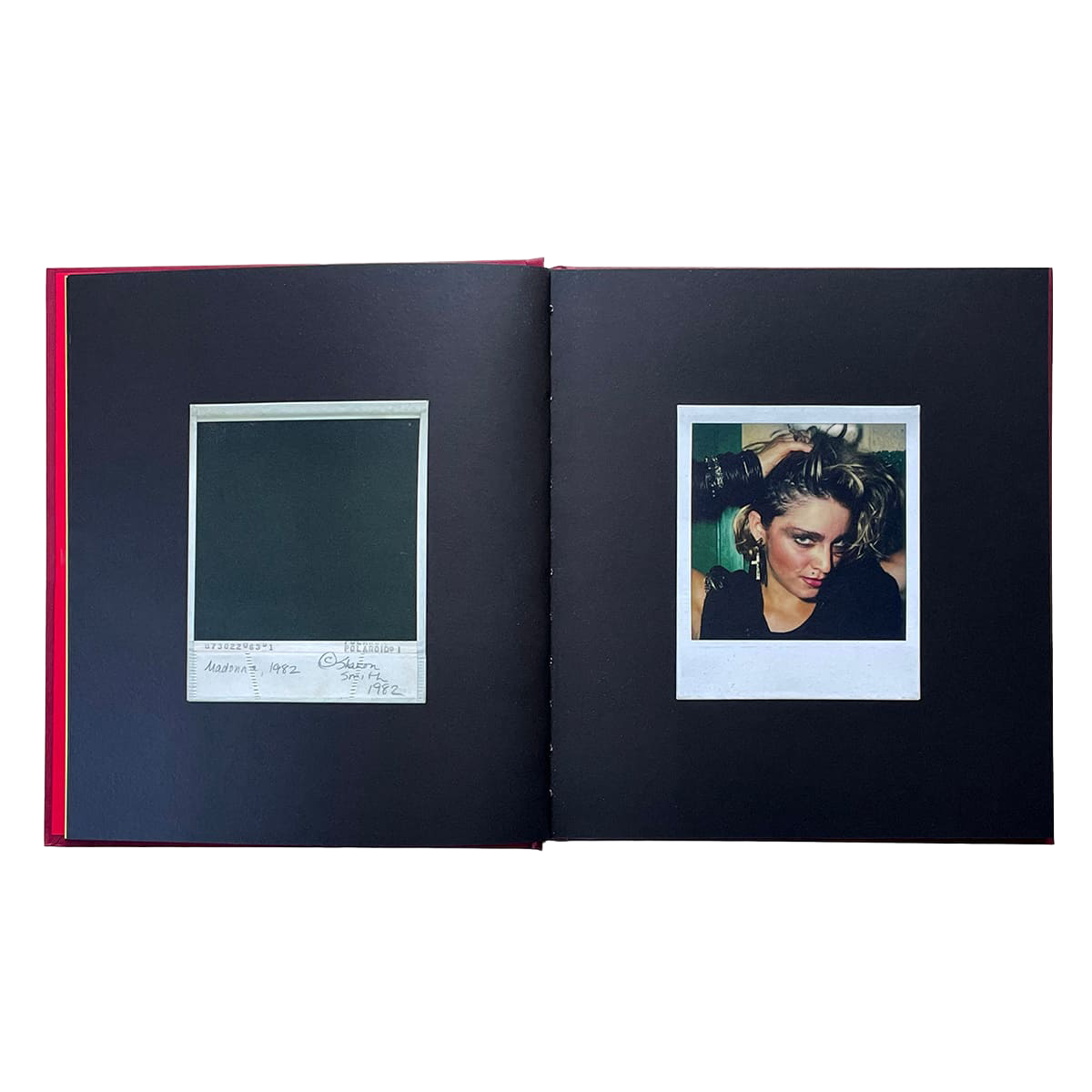 IDEA - SHARON SMITH CAMERA GIRL BOOK