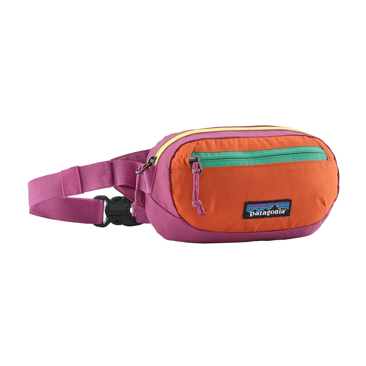 PATAGONIA - RIÑONERA TERRAVIA MINI