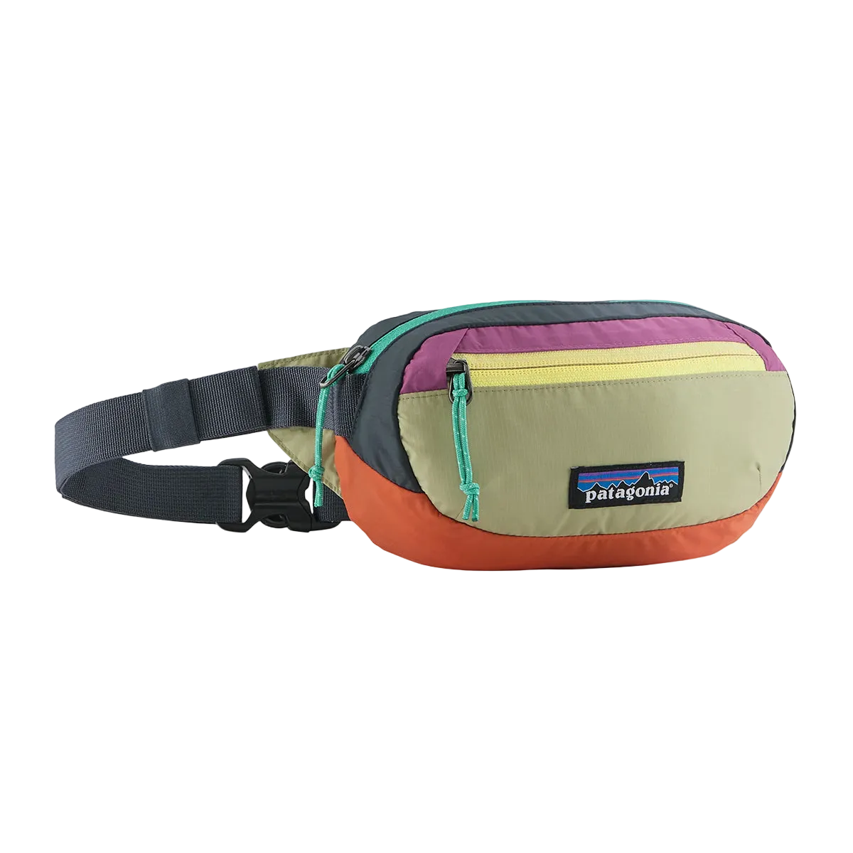 PATAGONIA - RIÑONERA TERRAVIA MINI