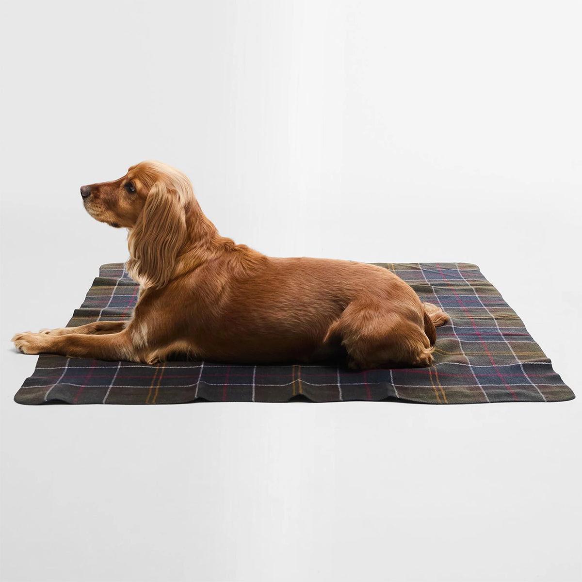BARBOUR - MANTA PARA PERRO TARTAN