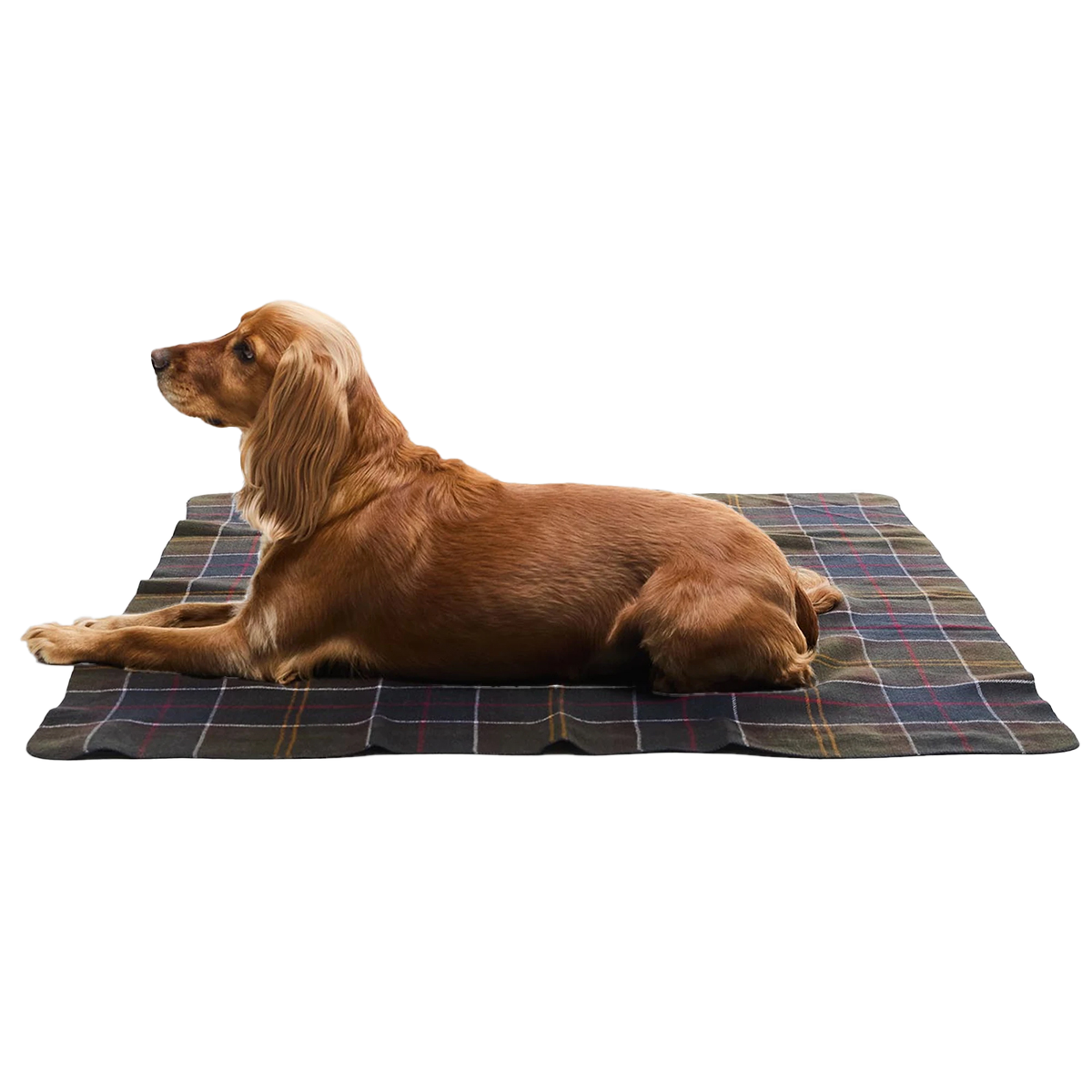 BARBOUR - TARTAN DOG BLANKET