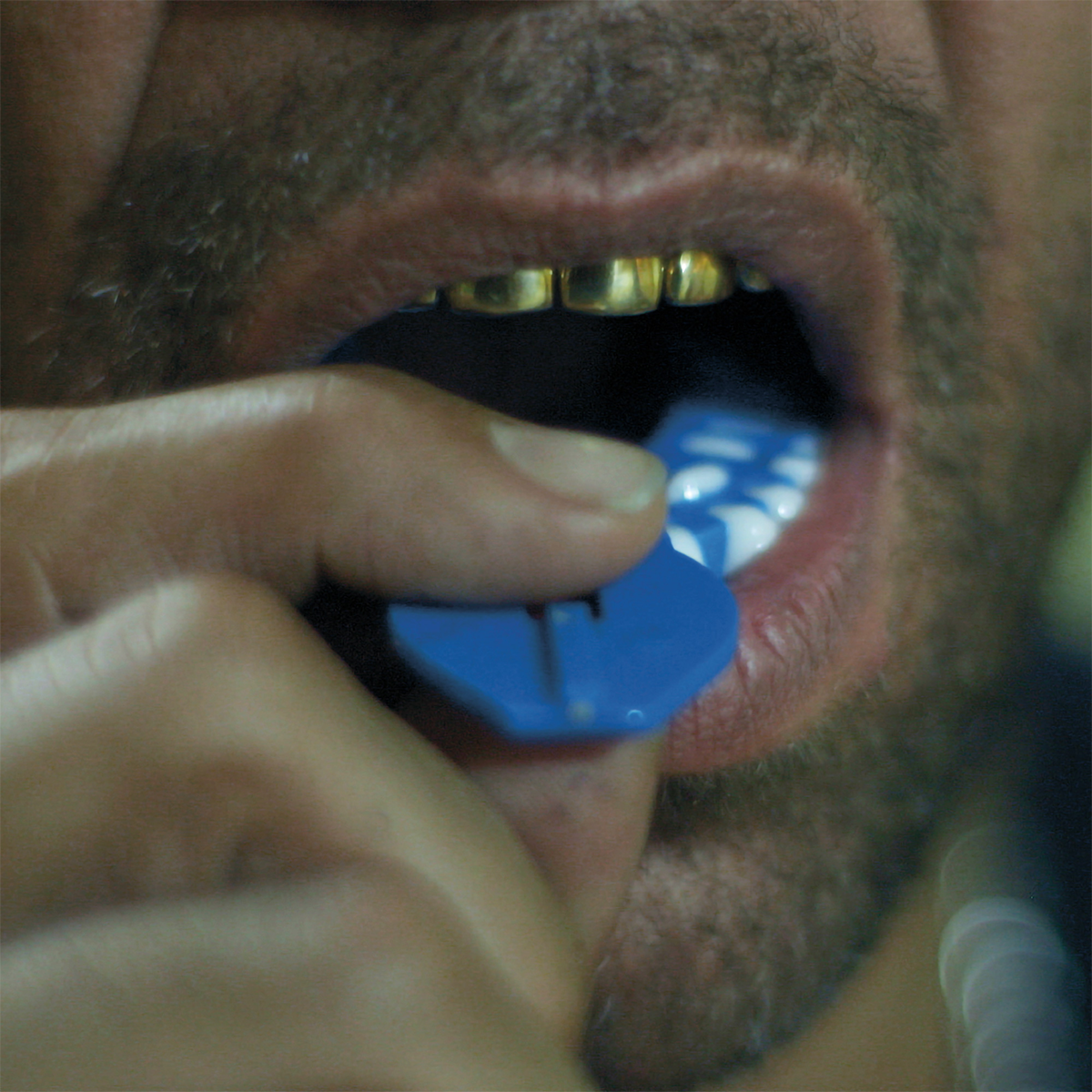IDEA - LIBRO MOUTH FULL OF GOLDS