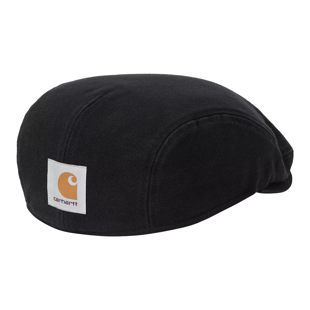 CARHARTT WIP - VISERA WEBSTER