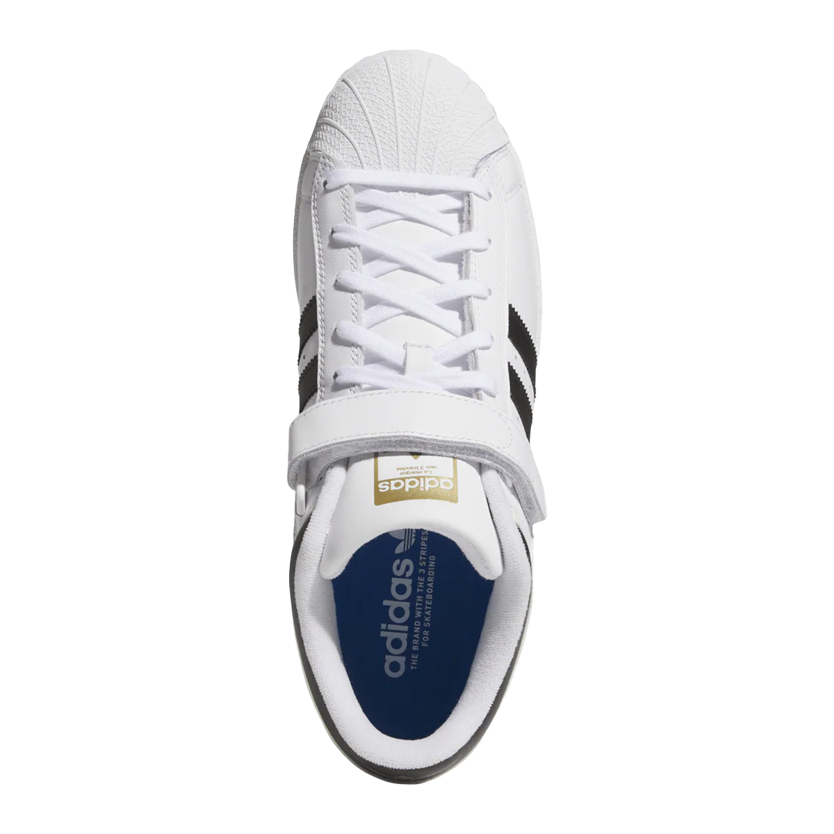 ADIDAS - PRO SHELL ADV
