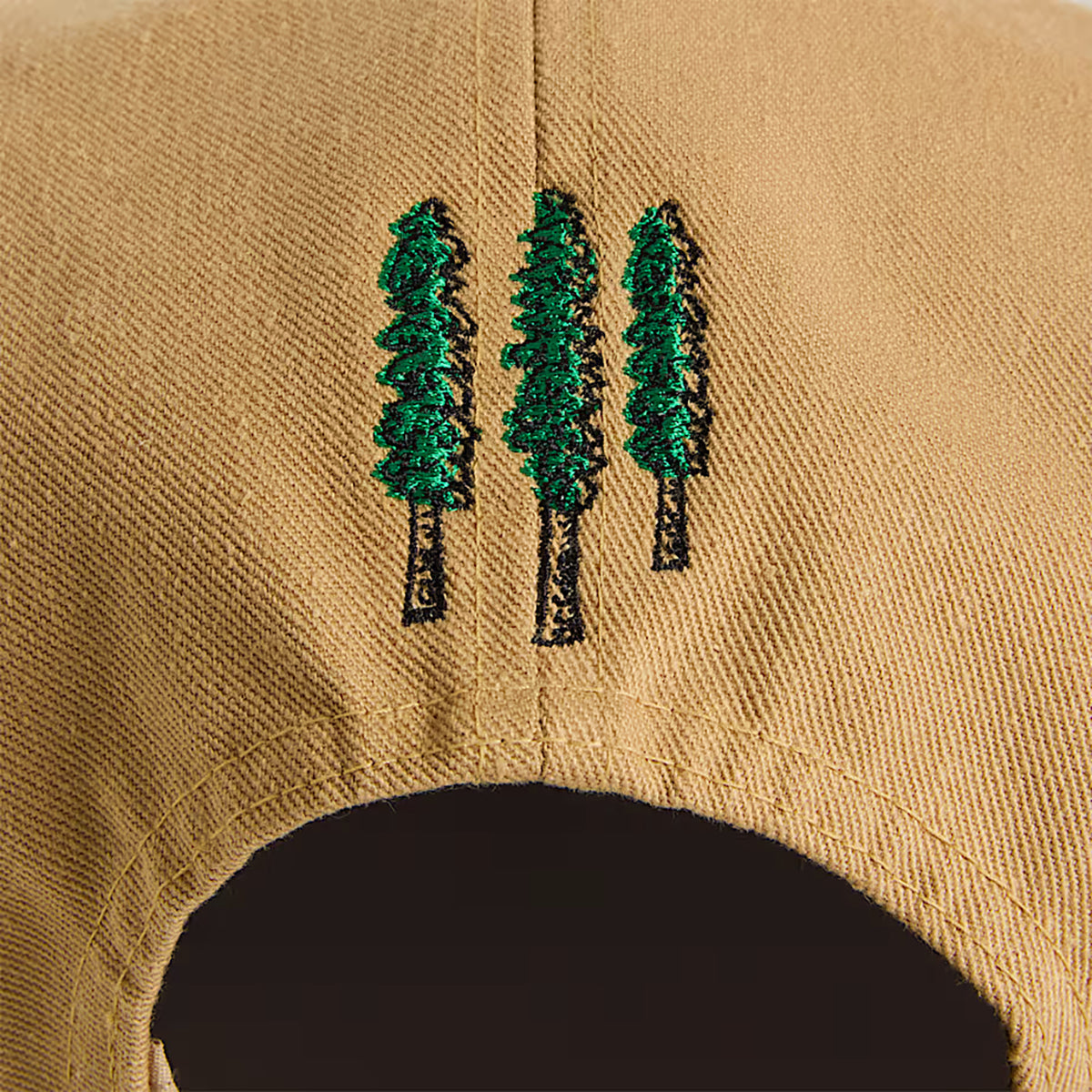 THE NORTH FACE - GORRA NORM CAMP