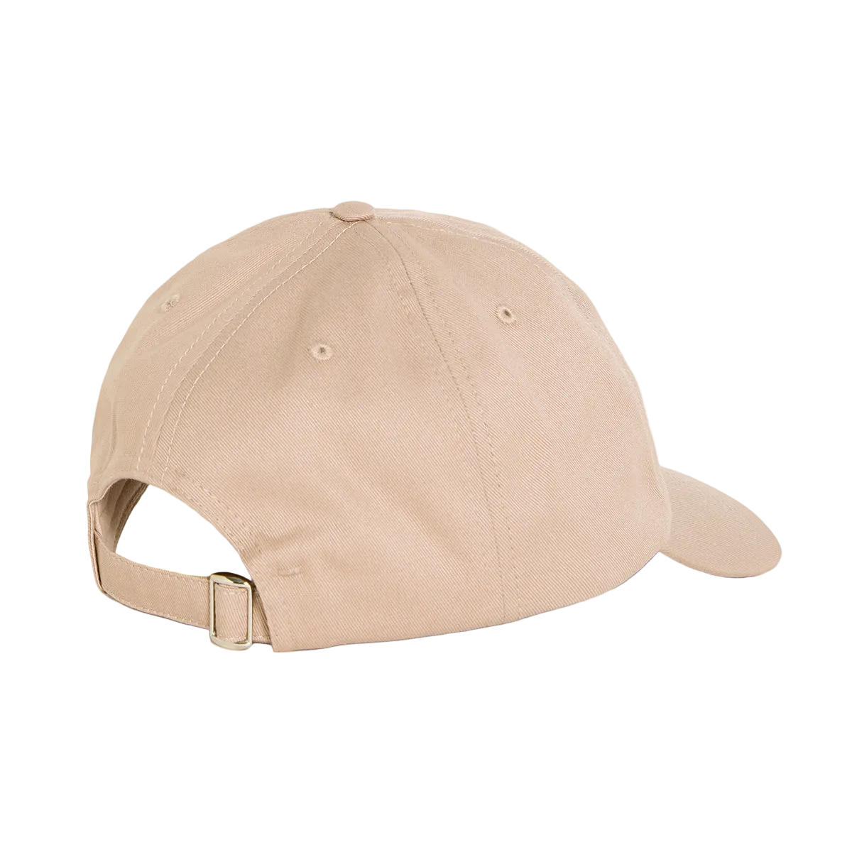 POLAR SKATE CO. - SAI COLLEGE CAP