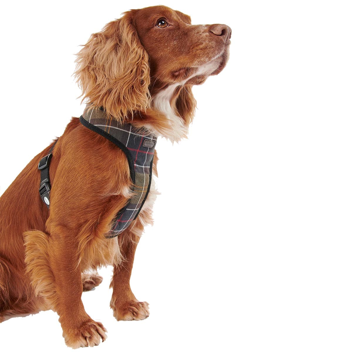 BARBOUR - ARNÉS PARA PERRO TARTAN