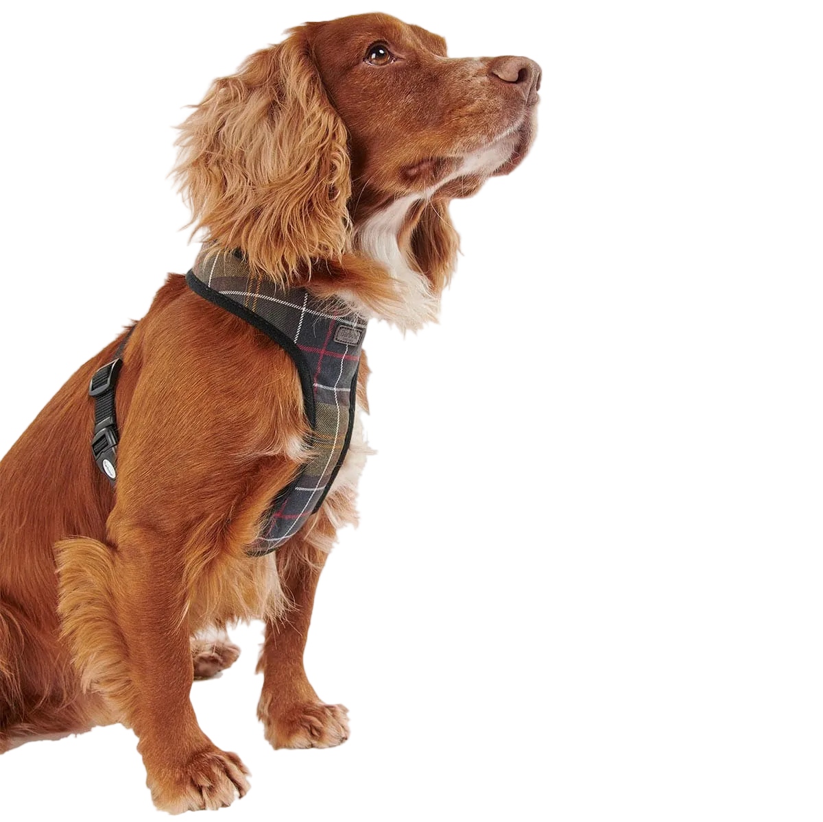 BARBOUR - TARTAN DOG HARNESS
